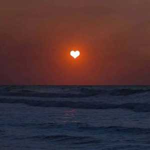 五十岚纪子无码AV在线
