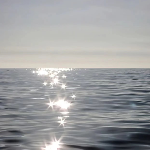 五十岚纪子无码AV在线
