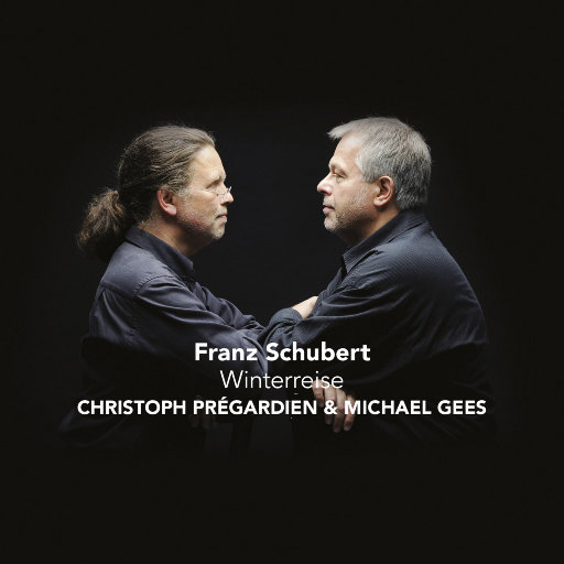 五十岚纪子无码AV在线
